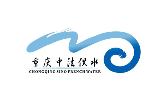 重庆中法供水不锈钢橡胶减震接头项目案例