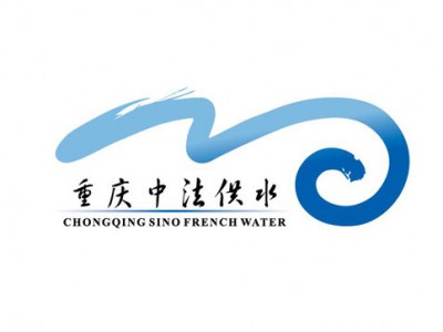 重庆中法供水不锈钢橡胶减震接头项目案例